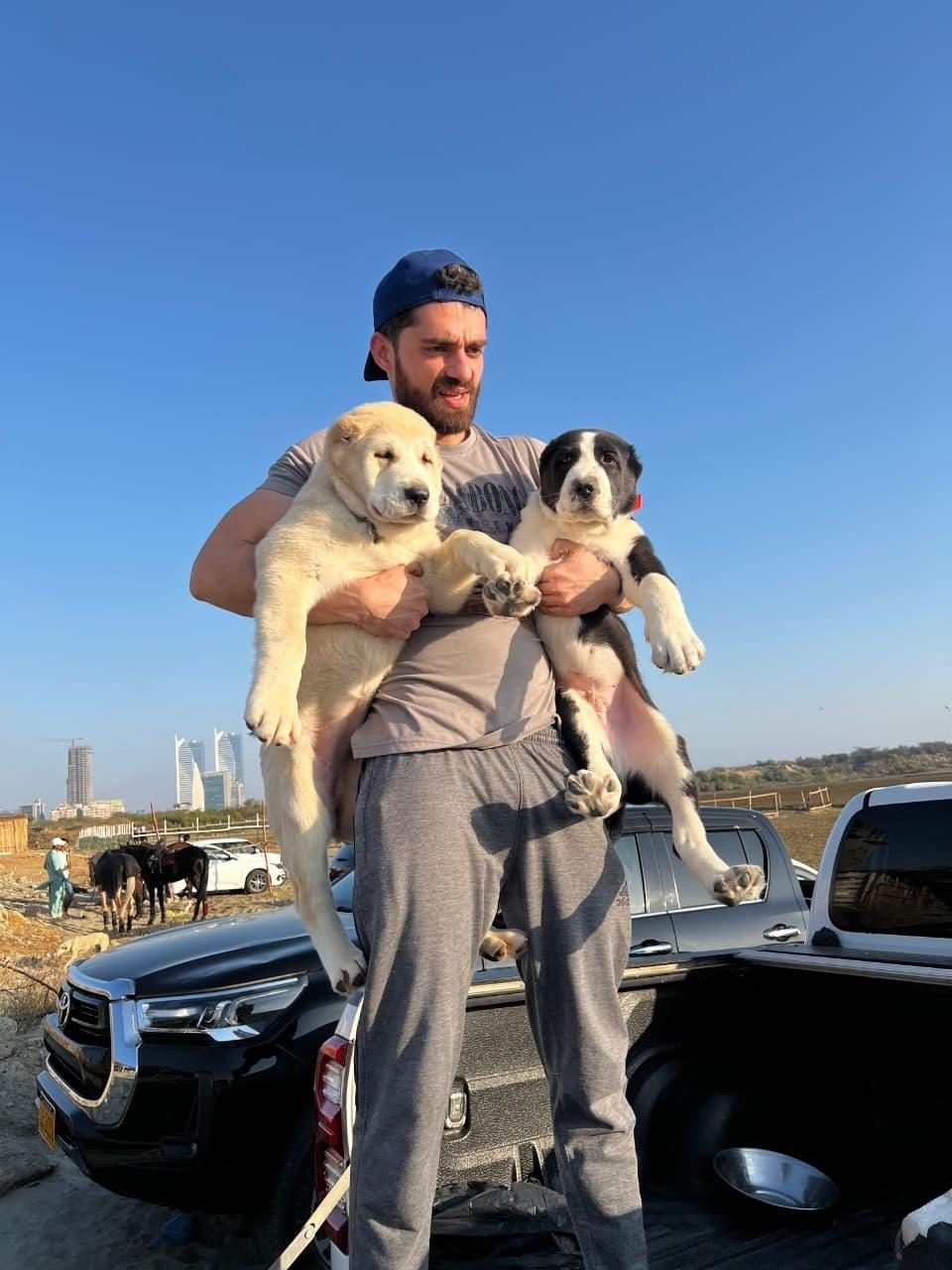 Healthy puppies cared for at Pets Care N Cure Karachi