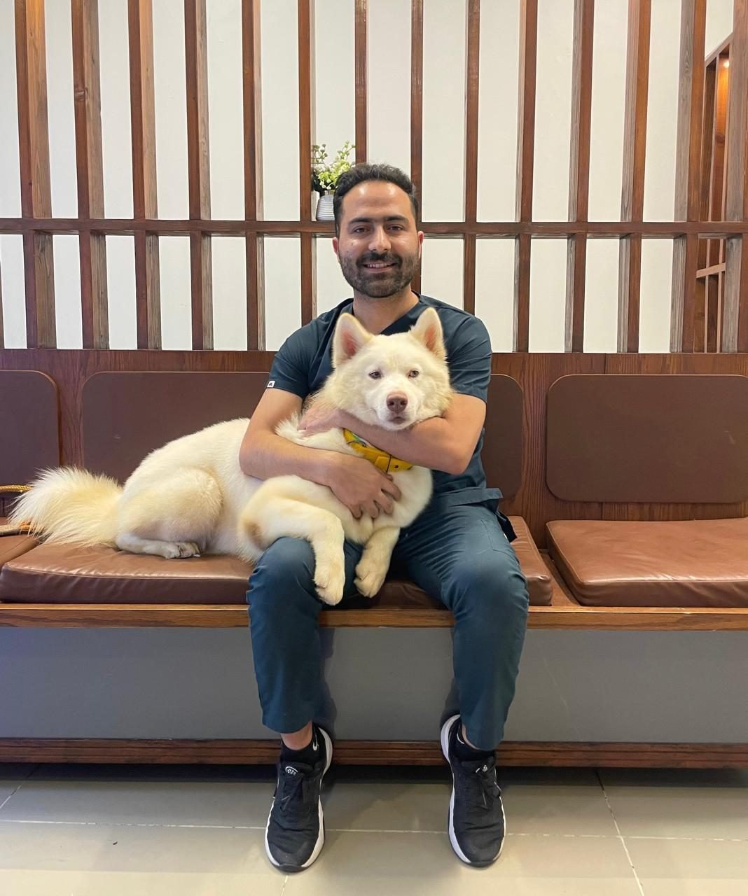 Veterinarian caring for a husky at Pets Care N Cure, DHA Karachi